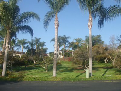 Joe and Linda's house in Coyote Land